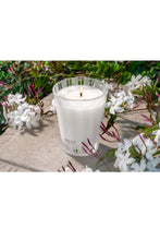 Load image into Gallery viewer, Indian Jasmine Nest Fragrances Candle Classic Size
