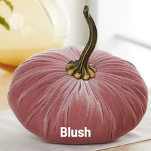 Load image into Gallery viewer, Velvet Pumpkin- Small
