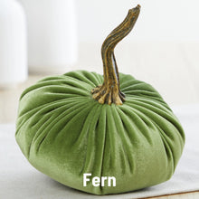 Load image into Gallery viewer, Velvet Pumpkin- Small
