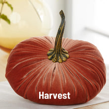 Load image into Gallery viewer, Velvet Pumpkin- Small
