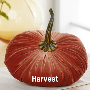 Velvet Pumpkin- Small