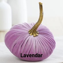 Load image into Gallery viewer, Velvet Pumpkin- Small
