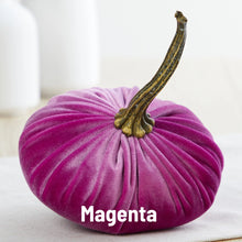 Load image into Gallery viewer, Velvet Pumpkin- Small
