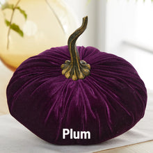 Load image into Gallery viewer, Velvet Pumpkin- Small
