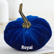 Load image into Gallery viewer, Velvet Pumpkin- Small
