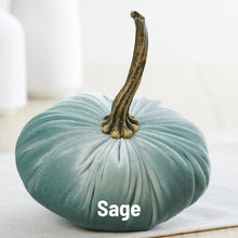 Load image into Gallery viewer, Velvet Pumpkin- Small
