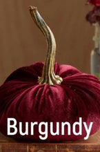 Load image into Gallery viewer, Velvet Pumpkin- Small
