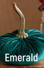 Load image into Gallery viewer, Velvet Pumpkin- Small
