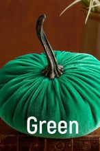 Load image into Gallery viewer, Velvet Pumpkin- Small
