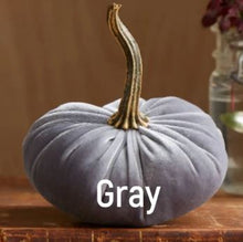 Load image into Gallery viewer, Velvet Pumpkin- Small
