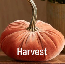 Load image into Gallery viewer, Velvet Pumpkin- Small
