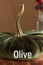 Load image into Gallery viewer, Velvet Pumpkin- Small
