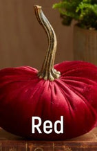 Load image into Gallery viewer, Velvet Pumpkin- Small
