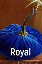 Load image into Gallery viewer, Velvet Pumpkin- Small
