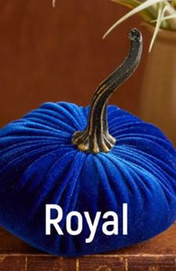 Velvet Pumpkin- Small