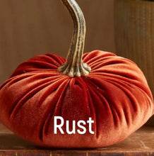 Load image into Gallery viewer, Velvet Pumpkin- Small
