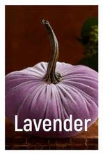 Load image into Gallery viewer, Velvet Pumpkin- Small
