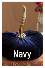 Load image into Gallery viewer, Velvet Pumpkin- Small
