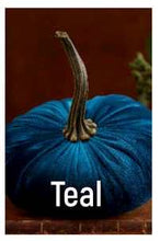 Load image into Gallery viewer, Velvet Pumpkin- Small
