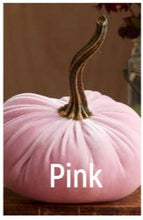 Load image into Gallery viewer, Velvet Pumpkin- Small
