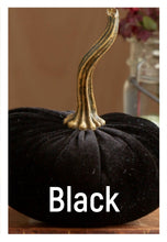 Load image into Gallery viewer, Velvet Pumpkin- Small
